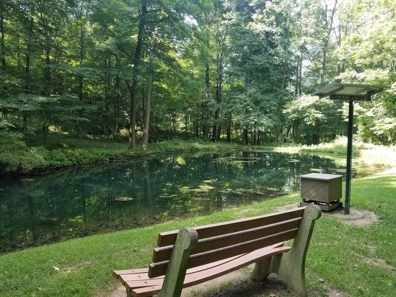 The Village Green Moment, Benches, Trees, And People Watching