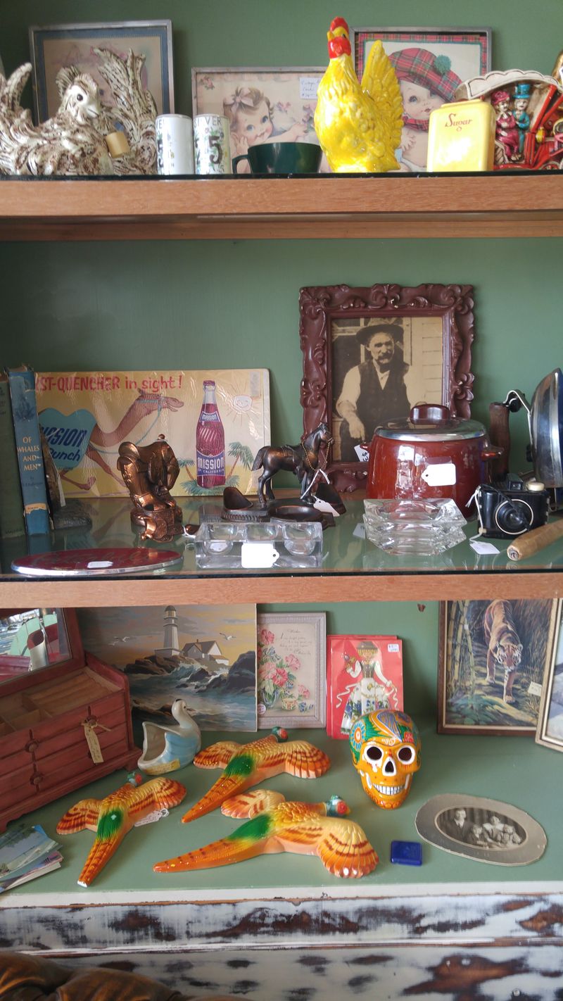 Collectibles and Tchotchkes for Every Interest