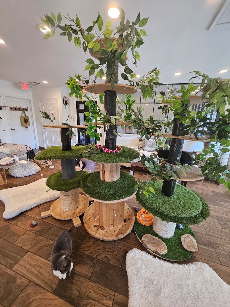 Treats And Refreshments To Enhance Your Visit