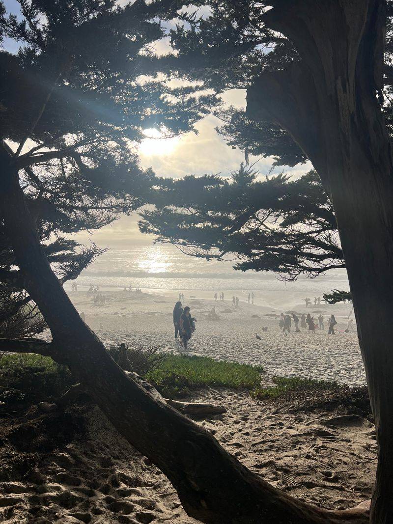 One Last Look At The Water Before Leaving Town