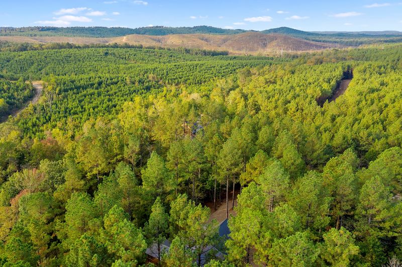 The Woods Beyond Your Door