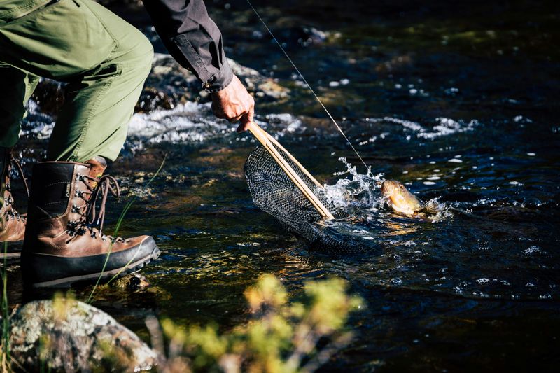Catch And Release Still Has Rules