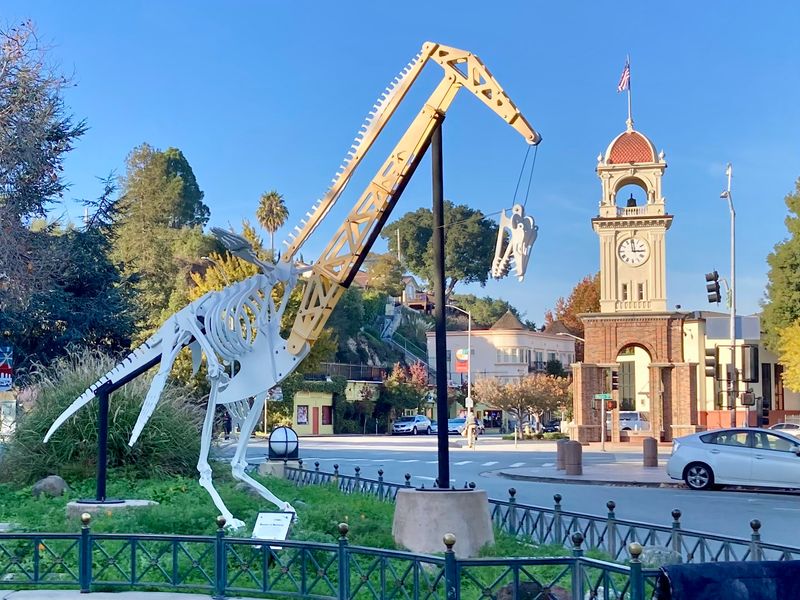 Santa Cruz’s Quirky Coastal Personality, And Why It Keeps Showing Up Online