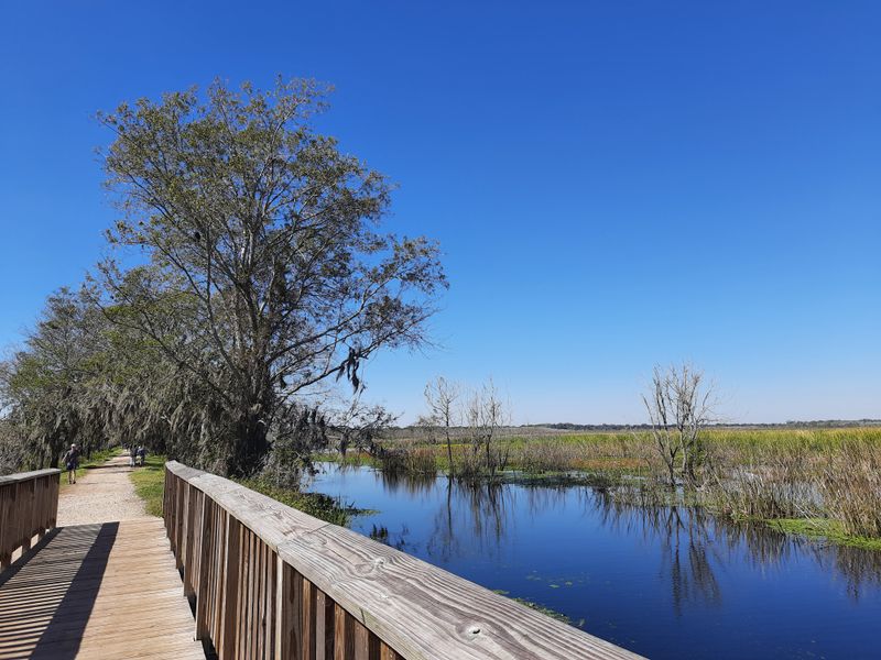 Birdwatching Paradise Along the Wetlands