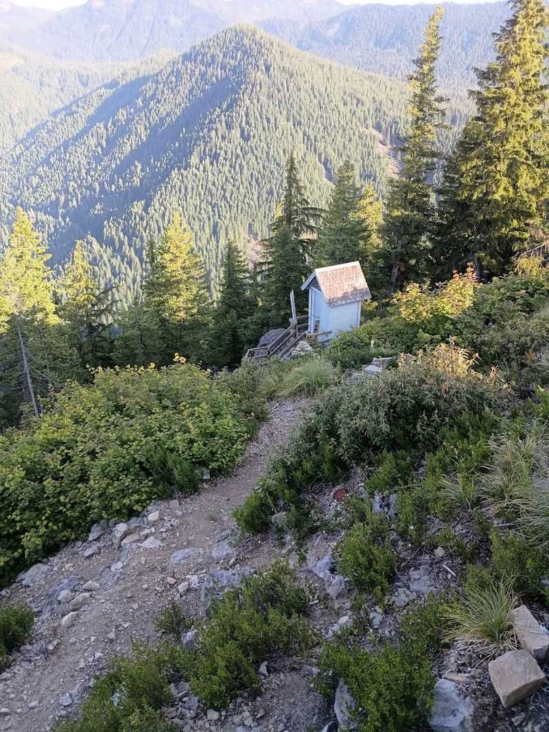 The Road Up to the Lookout