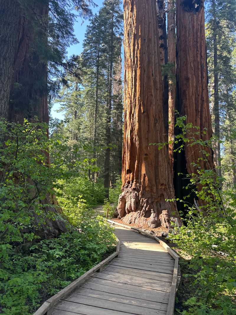 A Longer Walk Keeps The Secret Intact