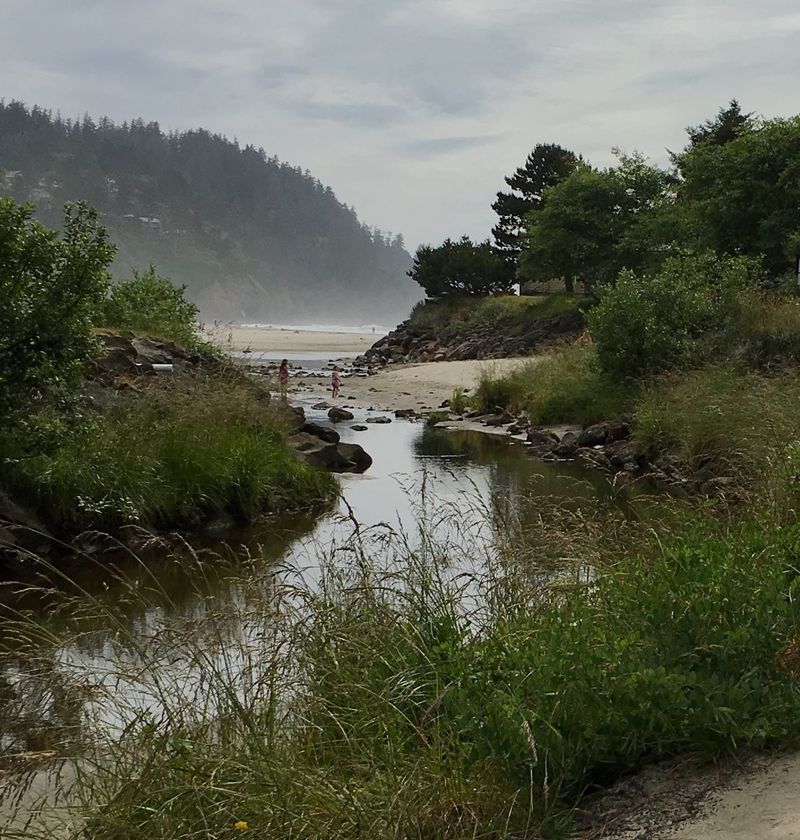 The Storm That Changed Everything