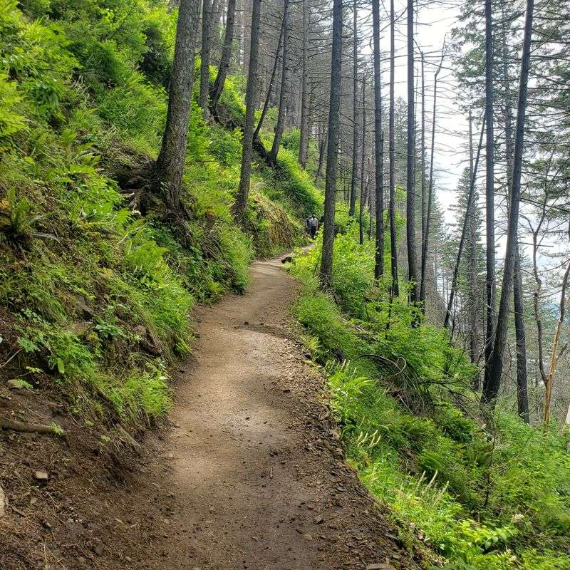 Perfect Location for Pre or Post-Hike Dining