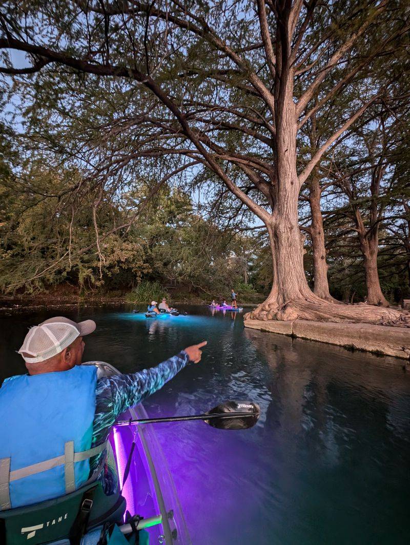 Wildlife Encounters That Feel Like a Nature Documentary