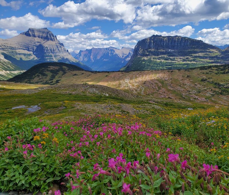 Logan Pass Logan Pass