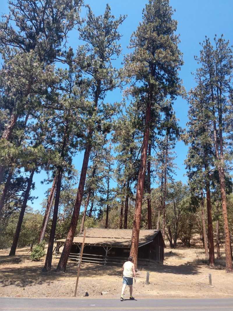 Buncom: Mining Dreams Turned to Dust