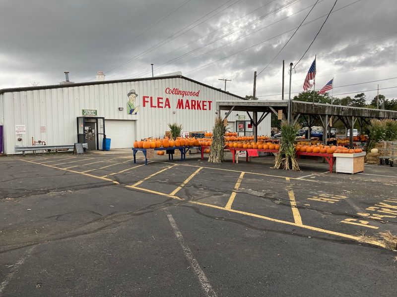 Collingwood Auction and Flea Market, New Jersey