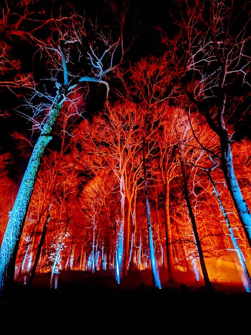 Special Events Transform Grounds Into Magical Realms