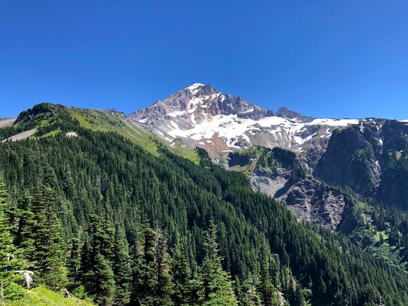McNeil Point Trail, Mount Hood