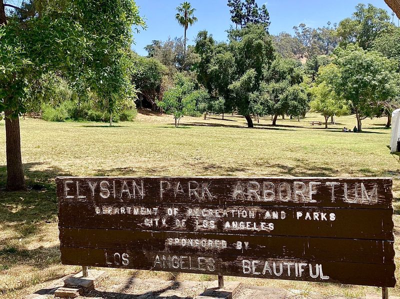 Runyon Canyon Lines Vs. Elysian Park Loops