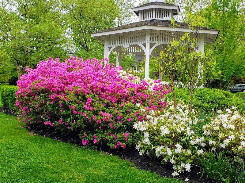 Sayen House and Gardens