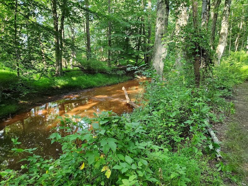 Manasquan River Linear Park