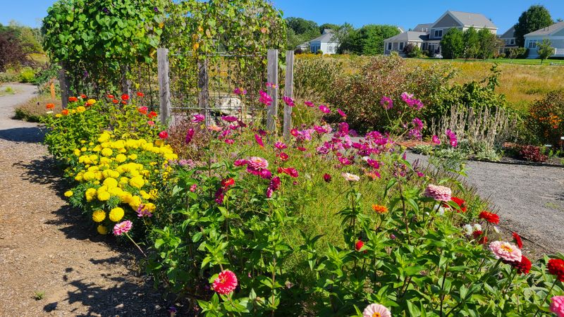 University Of Maine Gardens At Tidewater Farm