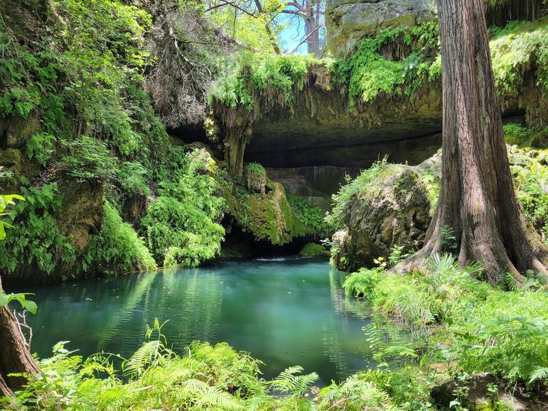 Westcave Outdoor Discovery Center