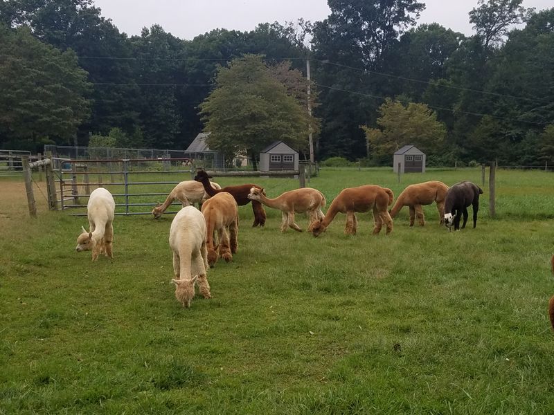 Explore The Beautiful Farm Grounds