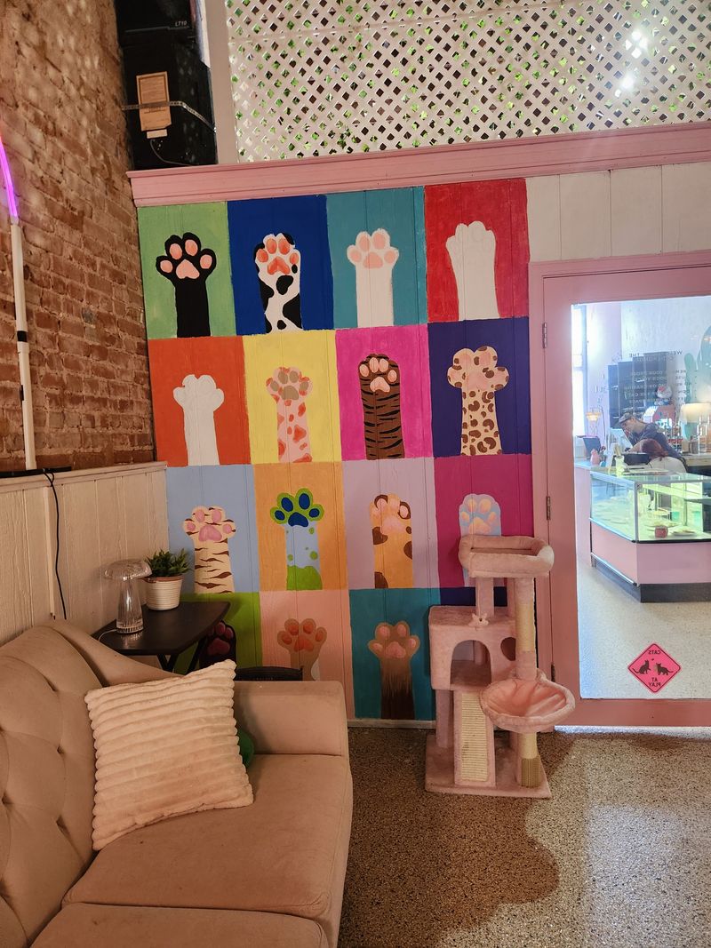 Affordable Pricing Makes Visits Accessible for Families