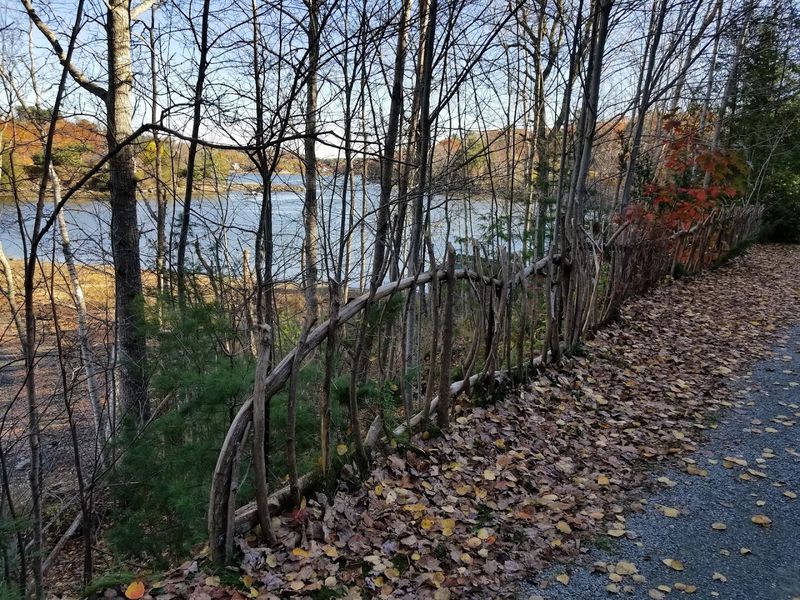 Rail Trail Miles Keep The Day Moving Without A Big Hike