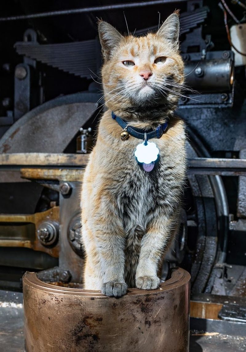 Costumes Encouraged, But Comfort Still Wins