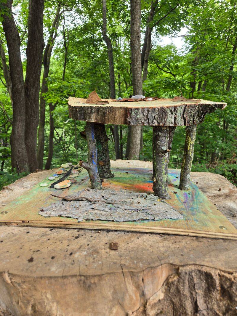 Shaded Forest Setting Provides Natural Comfort