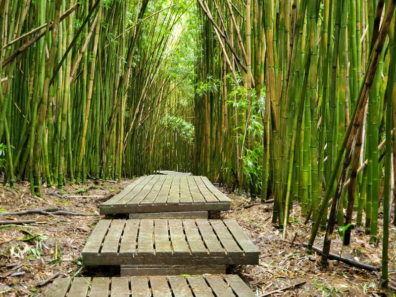 The Path Everyone Mentions First