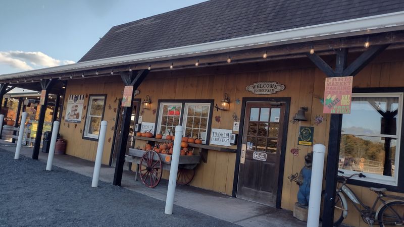 Apple Crumb Pie With Buttery Perfection