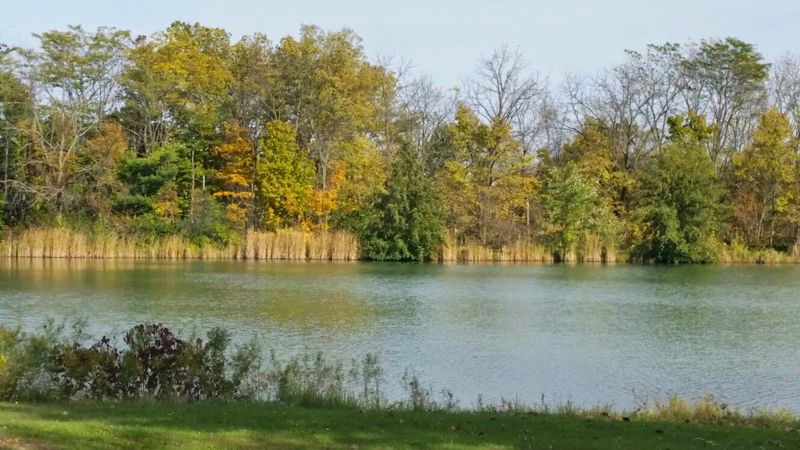 Entertainment That Doesn't Empty Your Wallet