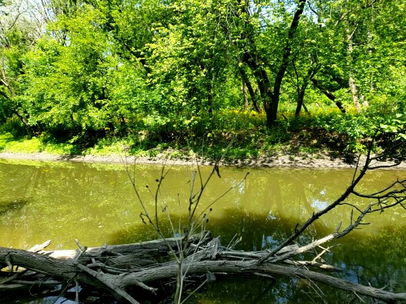 Forest Glen Woods
