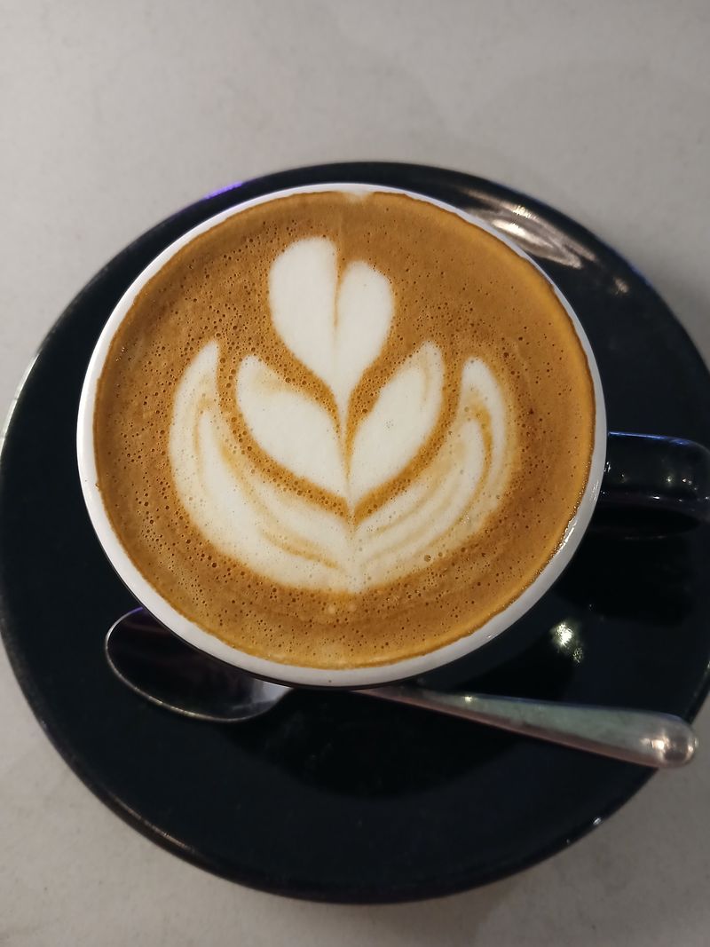 Serious Coffee Without Pretension