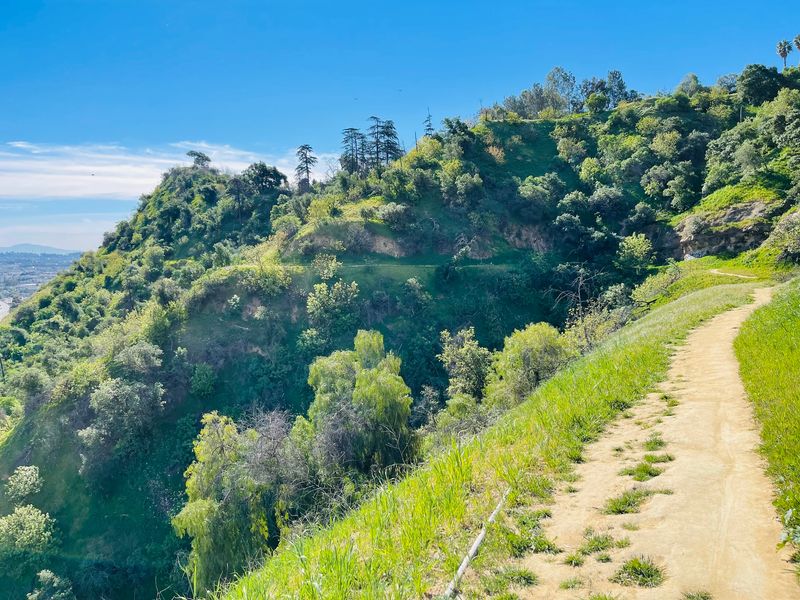 Frogtown (Elysian Valley)