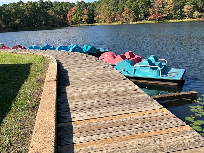 Paddle Boat Adventures On Quiet Water