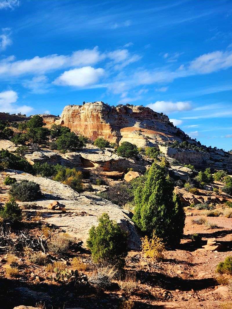 A Landscape That Looks Untouched By Colorado Tourism