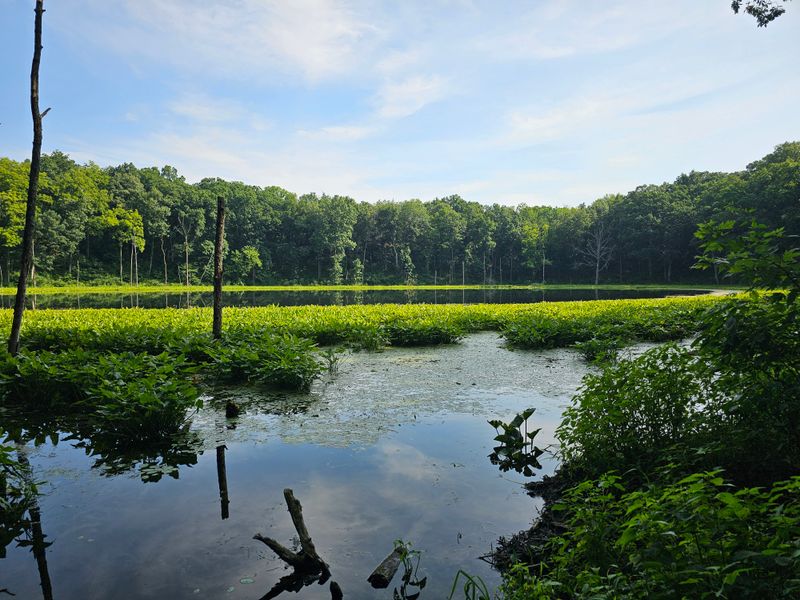 Sandy Beach Provides Perfect Breaks Between Paddling Sessions