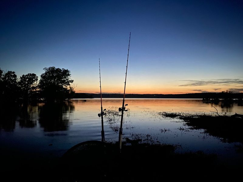 Fishing at Lake Wister: Honest Expectations, Real Rewards