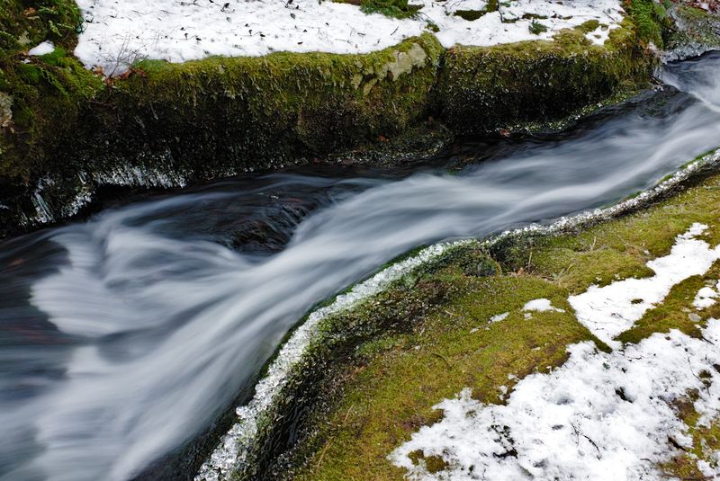 Seasonal Beauty: Why Every Visit Feels Different