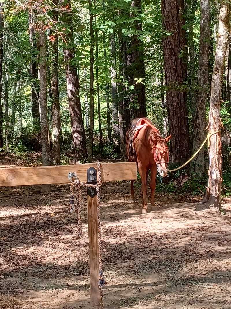 Working Farms and Ranches