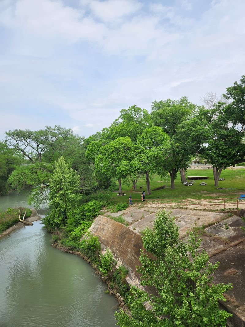 Pecan Trees Everywhere You Look