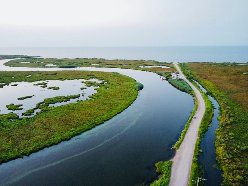Wildlife Areas See Disruption And Damage Wildlife Areas See Disruption And Damage
