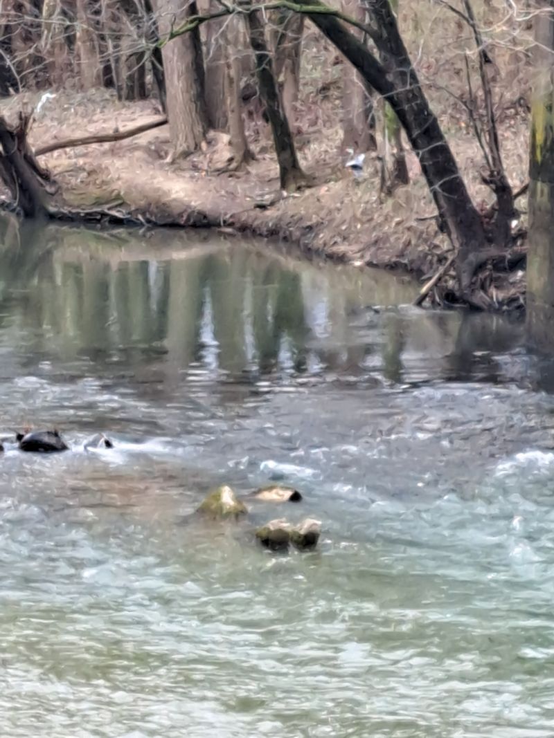 Multiple Access Points Along the River Corridor