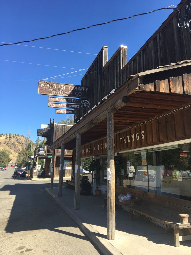 Wild Turkeys and Llamas Roam Like They Own the Place