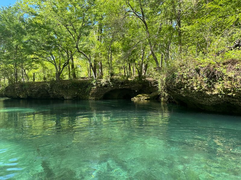 Springs That Look Unreal In Person