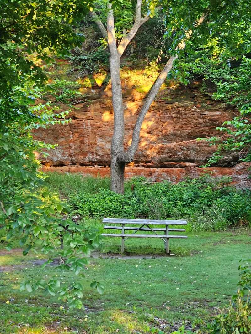 Natural Springs Sustained Countless Westward Journeys