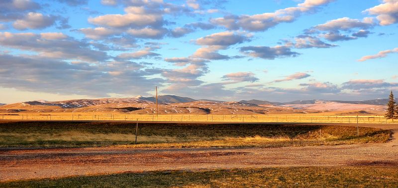 Stanford Delivers Courthouse Calm And Open Streets