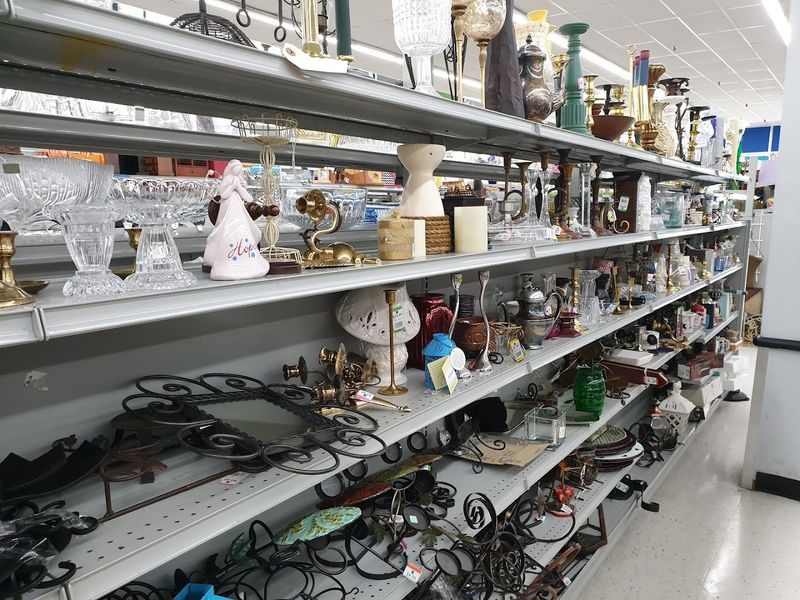 Books, Media, And Random Finds That Make The Trip Fun