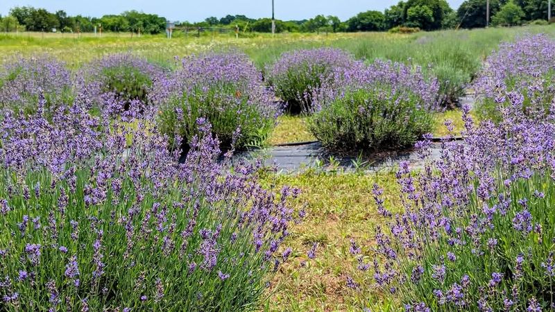 The Perfect Day Trip Destination