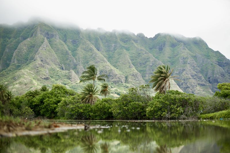 Staying Connected To Nature’s Rhythms